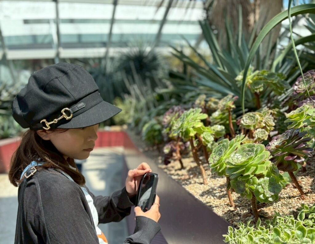 フラワードームには、思わず写真を撮りたくなる不思議な植物がたくさん。